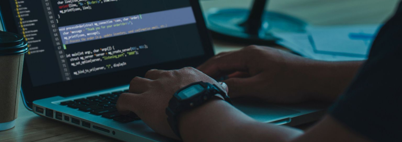 A photograph of a web developer working on their code.