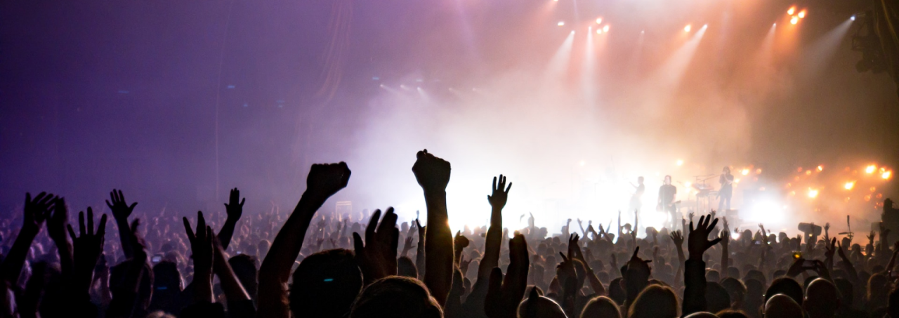 Excited concert-goers with hands raised in the air.